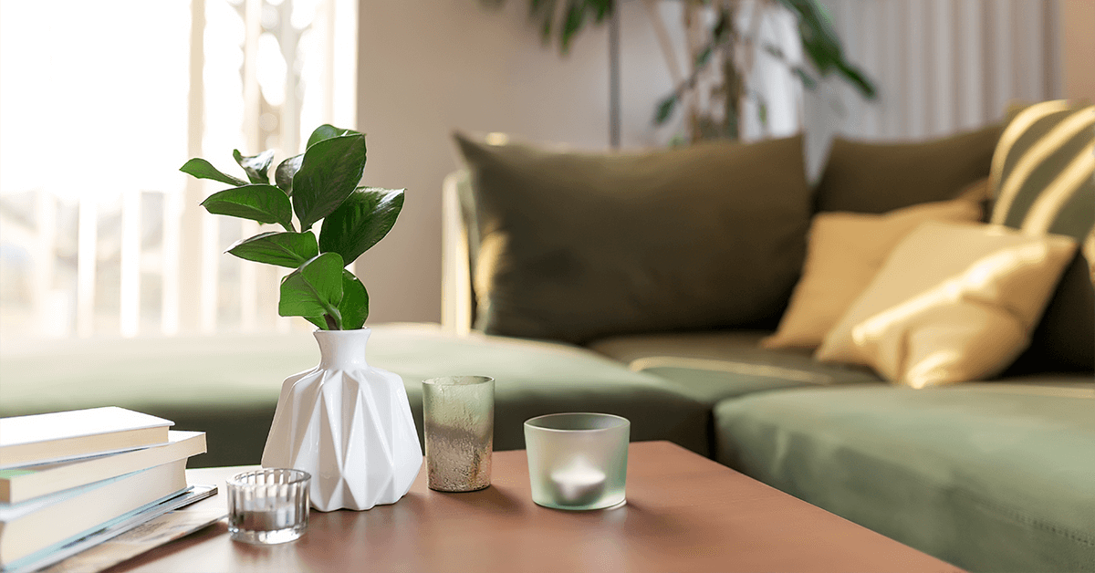 Budget-Friendly Home Decor Hacks for First-Time Homeowners Featured Image