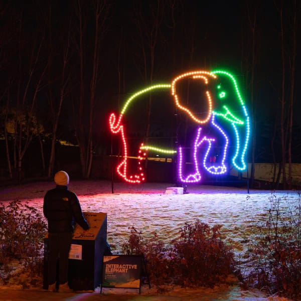 Top Christmas Events in Edmonton 2024 Telus Image