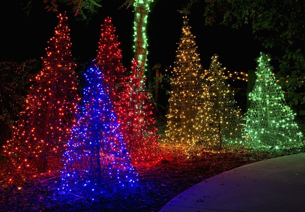 Christmas 2022: 9 Festive Things to Do in Edmonton Image