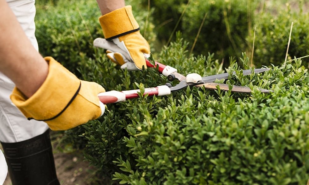How to Maximize the Sale of Your Home by Asking for Less Curb Appeal Image