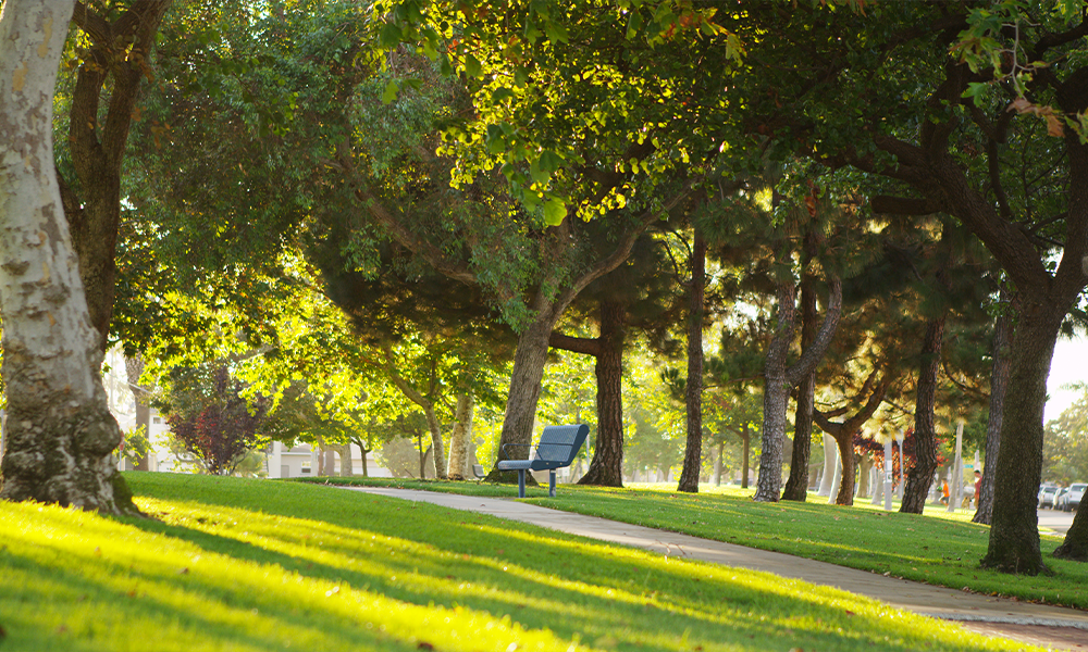 Edmonton Community Spotlight: Lorelei in Northwest Edmonton Parks and Recreation Image