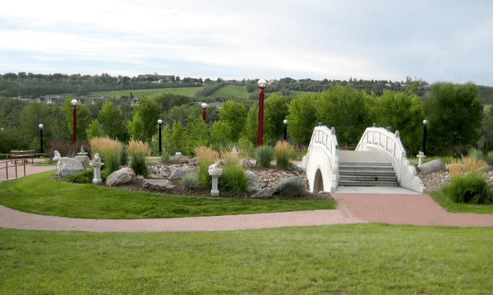 Edmonton Community Spotlight: Aster in Southeast Edmonton Parks and Recreation Image