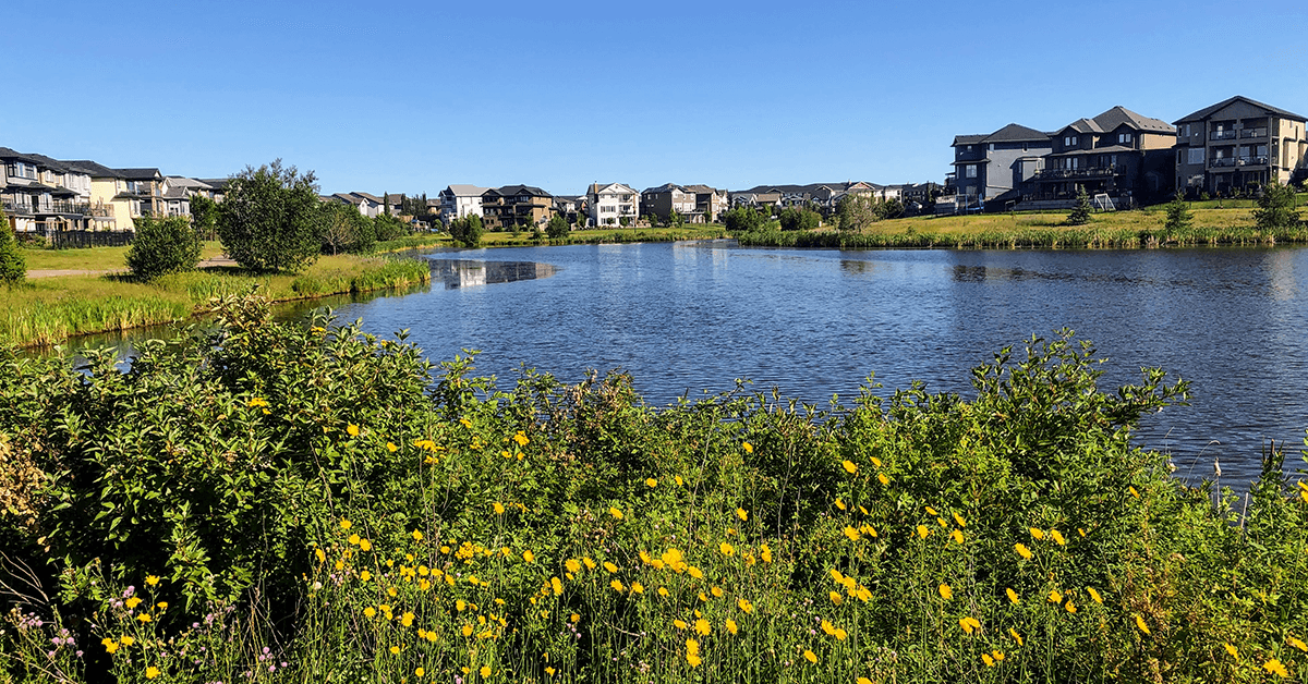 Park Image