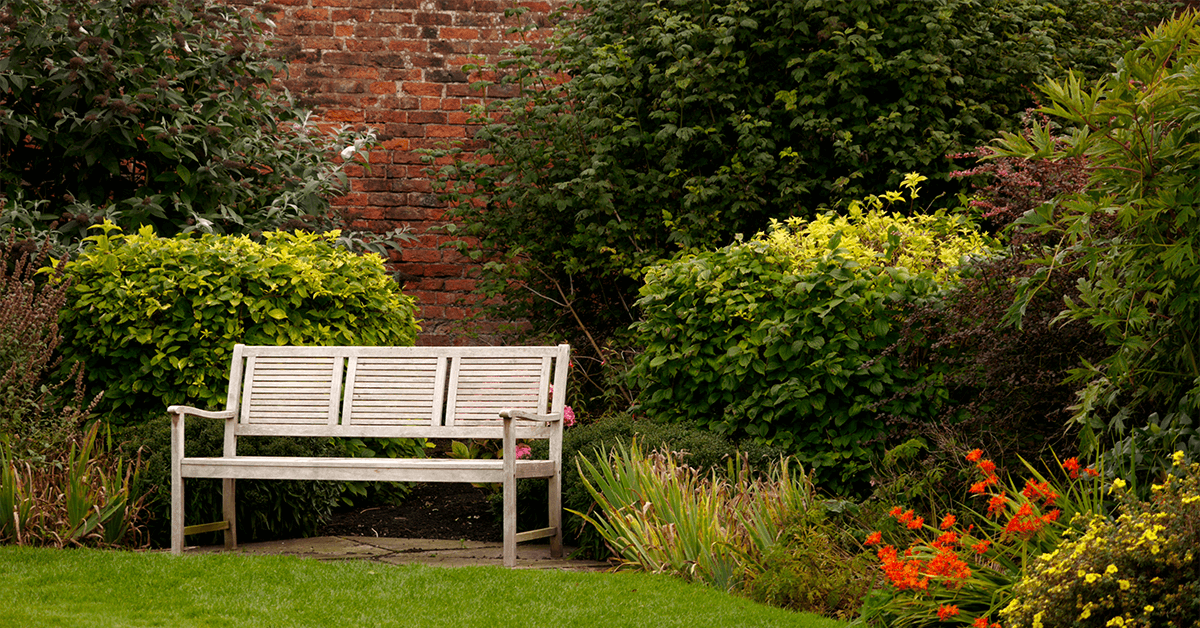 How to Create a Spring Garden: Tips for a Beautiful Outdoor Space Enjoyment Space Image