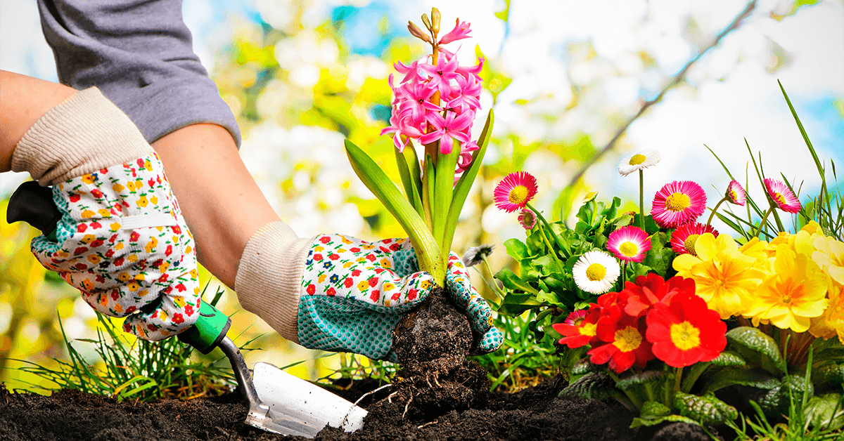 How to Create a Spring Garden: Tips for a Beautiful Outdoor Space Featured Image