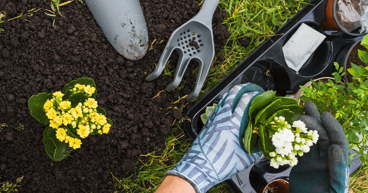 How to Create a Spring Garden: Tips for a Beautiful Outdoor Space Mulch Image