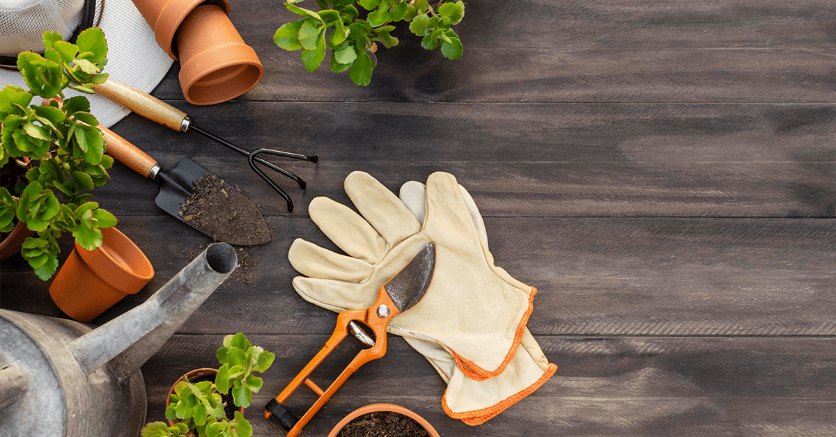 How to Create a Spring Garden: Tips for a Beautiful Outdoor Space Soil Image