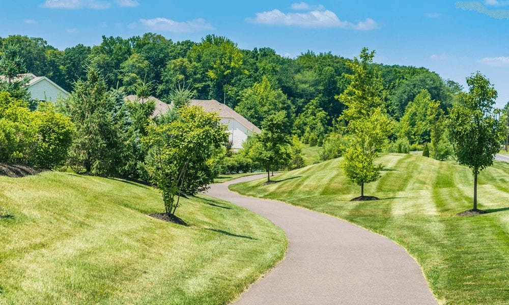 6 Questions To Ask Yourself When Choosing a Neighbourhood Main Image